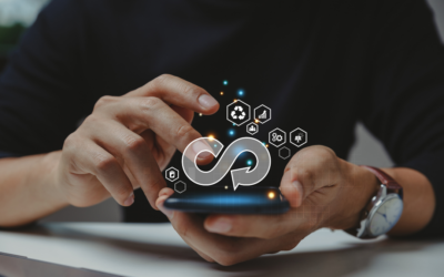 Circular Hybrid Products – Pointing to Sustainability in the Digital Age